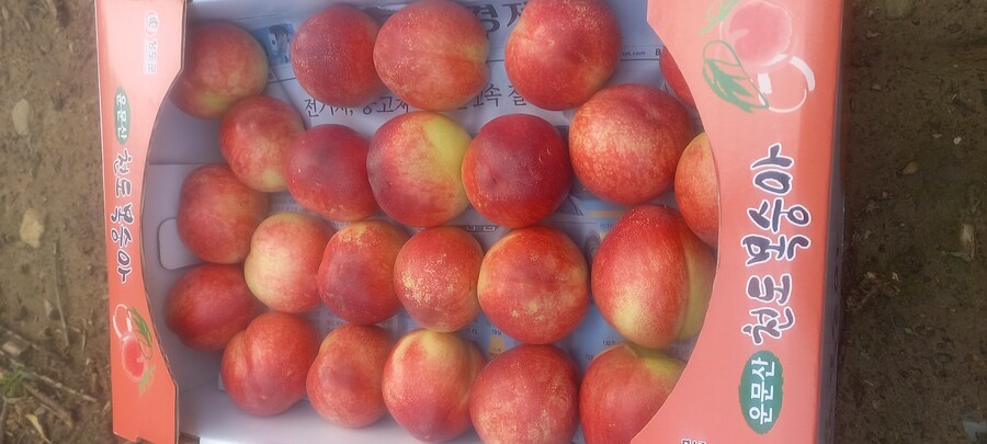 룰웹에 농사 지은거 팔만한 게시판 있을까_1.jpg