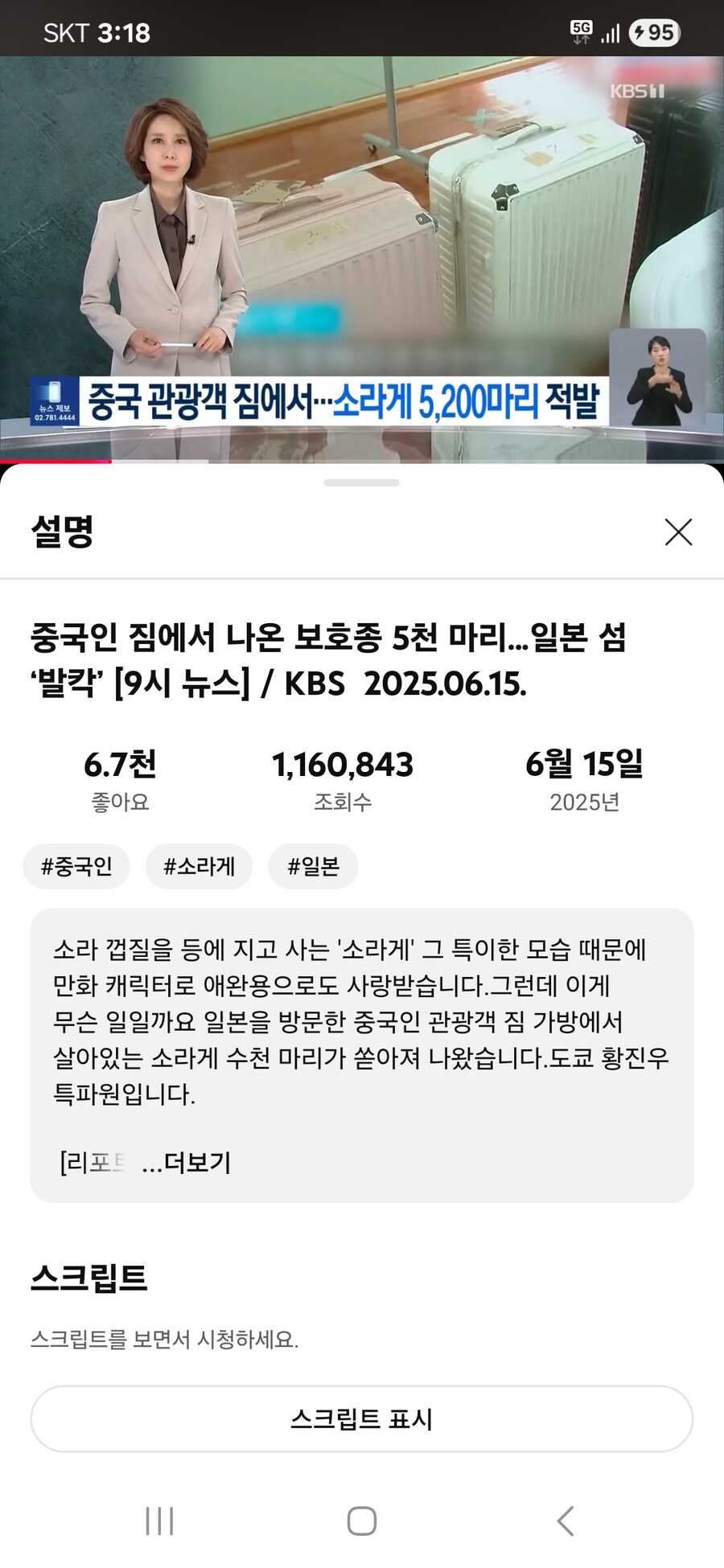 일본에 관광간 중국인 3명 소라게 5200마리 불법포획;_1.jpg