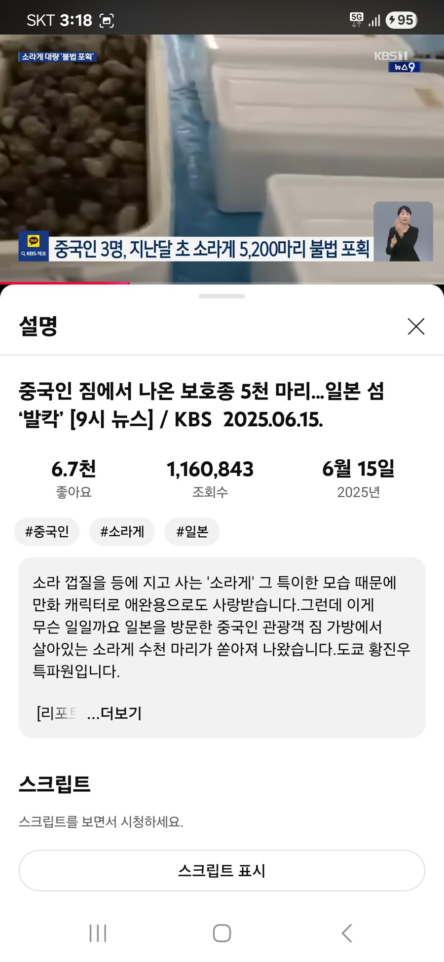 일본에 관광간 중국인 3명 소라게 5200마리 불법포획;_2.jpg