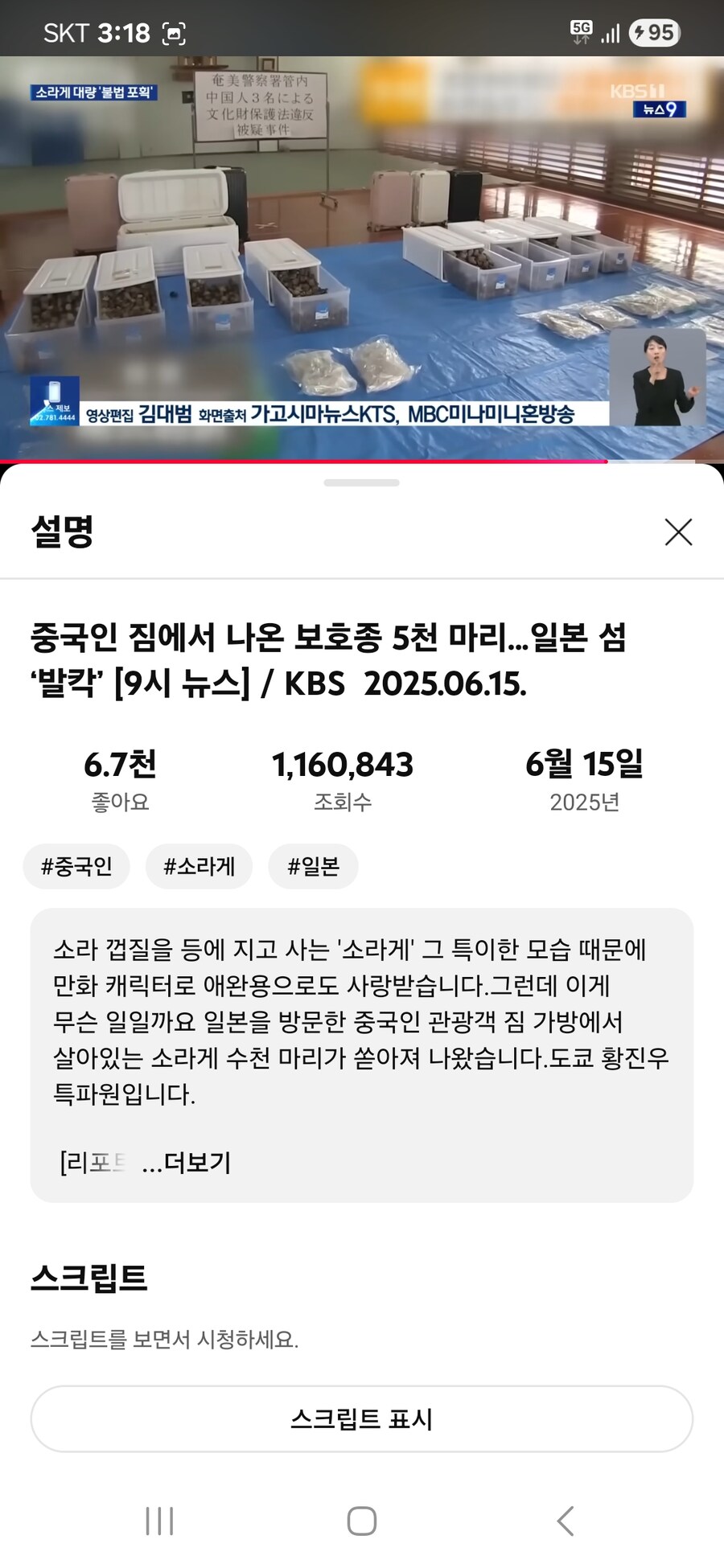 중국인 관광객 3명이 일본에 가서 소라게 5200마리 불법포획;_5.jpg