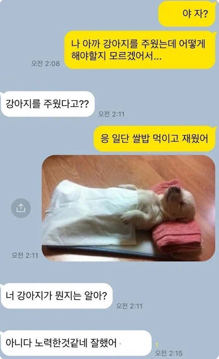 강아지 주웠는데 어쩌면 좋아_1.jpg
