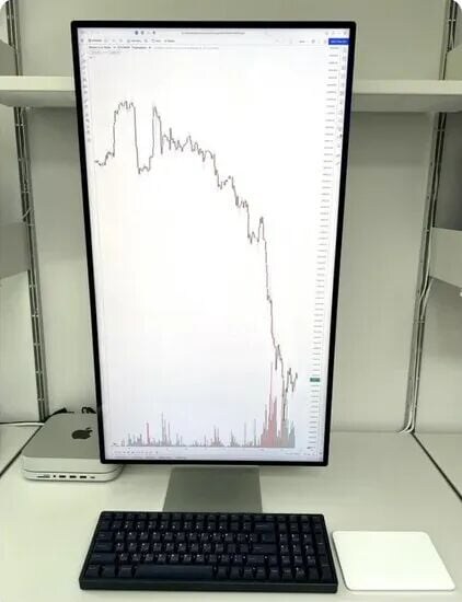 모니터를 세로로 피벗할 수 있어야 하는 이유_1.jpg