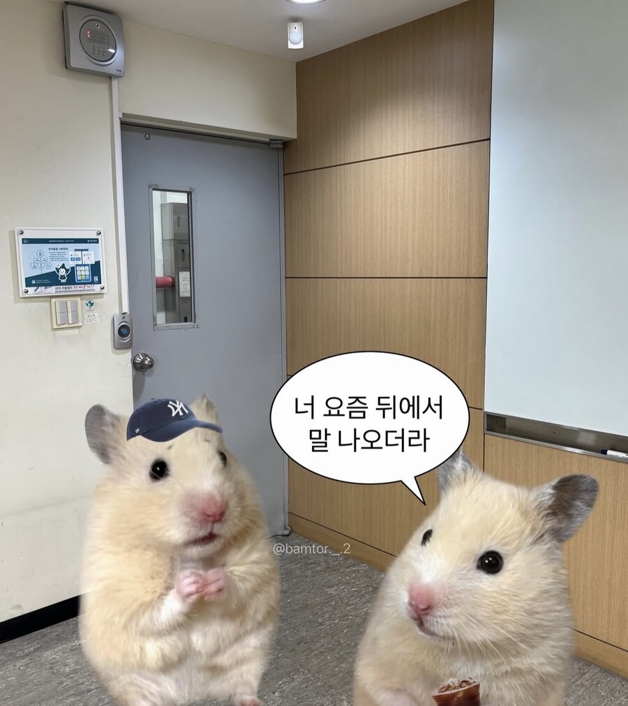 너 요즘 뒤에 말나온다_1.jpg
