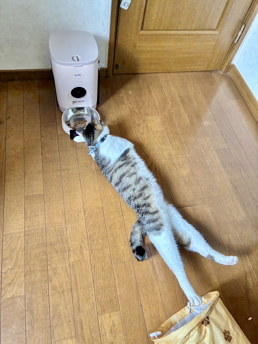 식사는 앉아서 하렴_1.jpg
