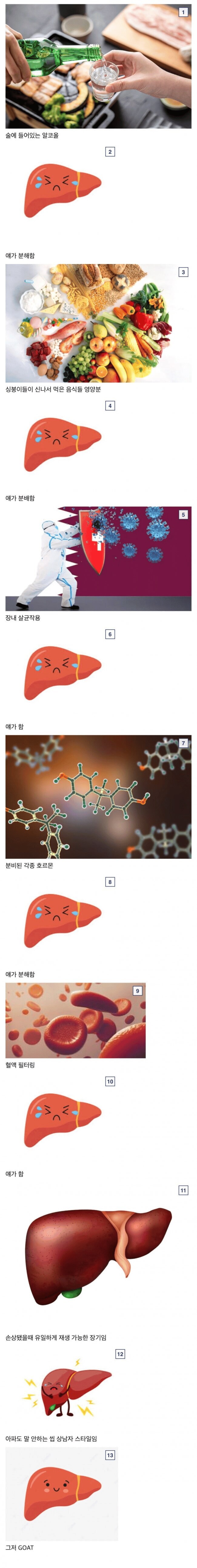 간이 개쩌는 장기인 이유_1.png