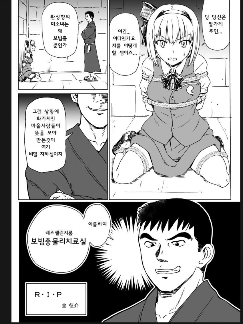 정신나가버린 동방 동인지의 세계_1.jpg