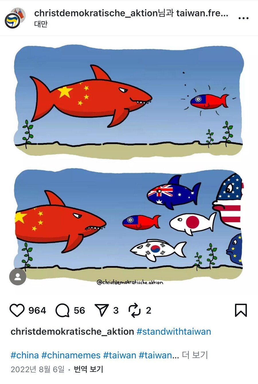먹이를 노리는 상어_1.jpg