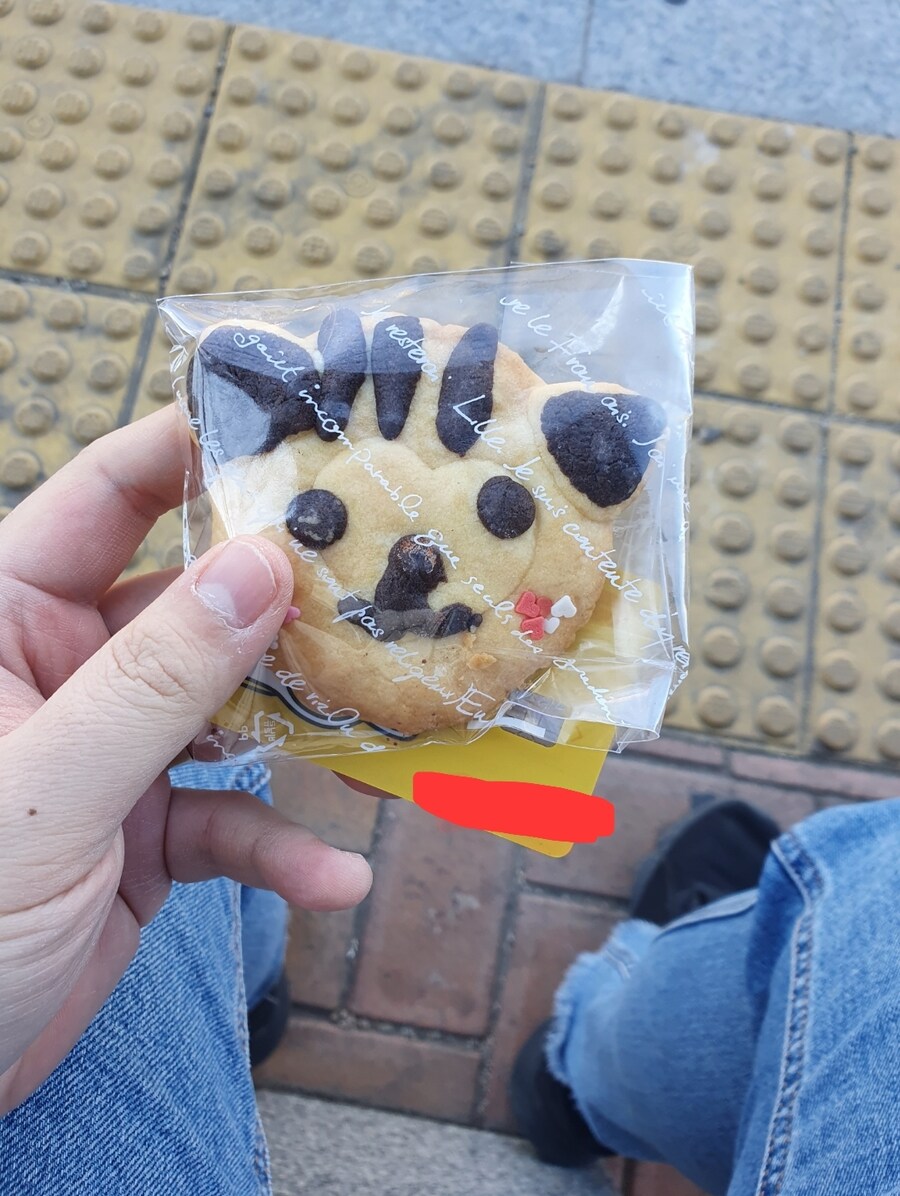 방금 부모님 순애 로맨스 짤보고 나도 자랑함_1.jpg