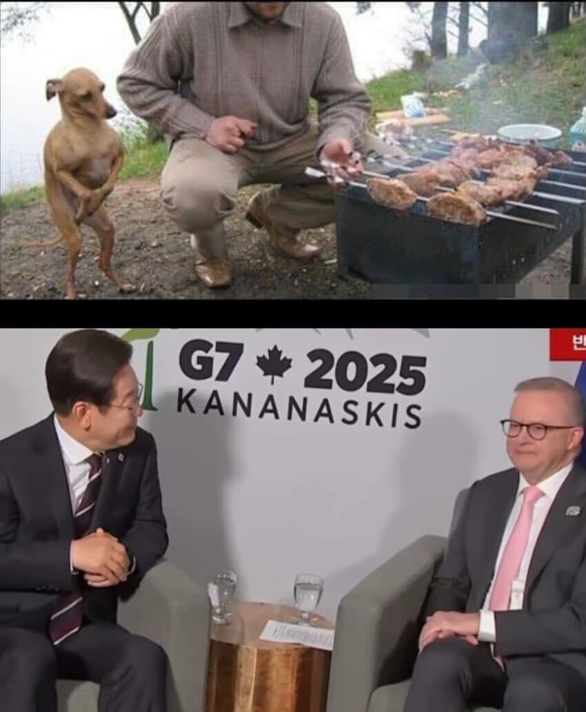 쥐파파한테 통역이 필요했어?_1.jpg