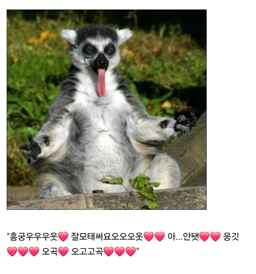 "감도 3000배 미약"?"_2.jpg