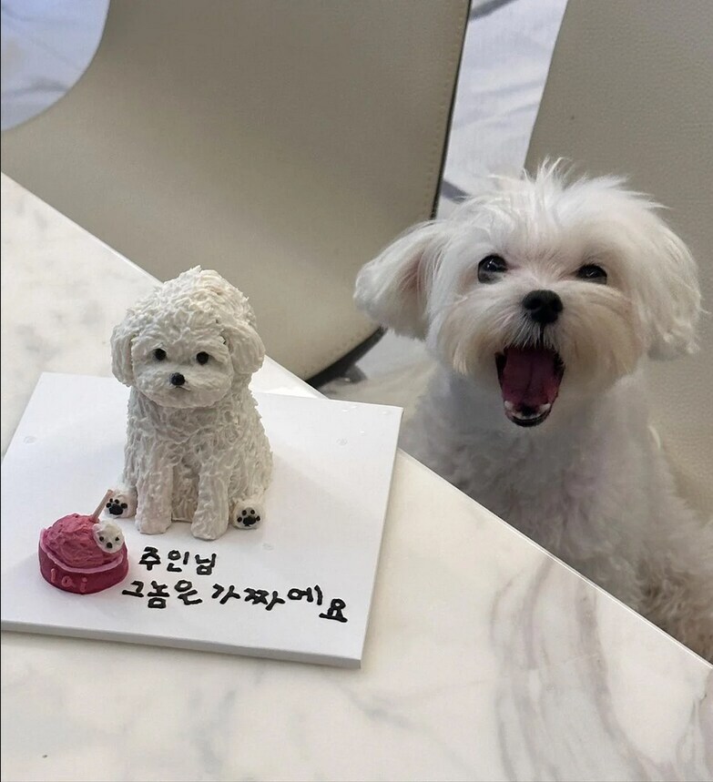 주인님 그놈은 가짜에요