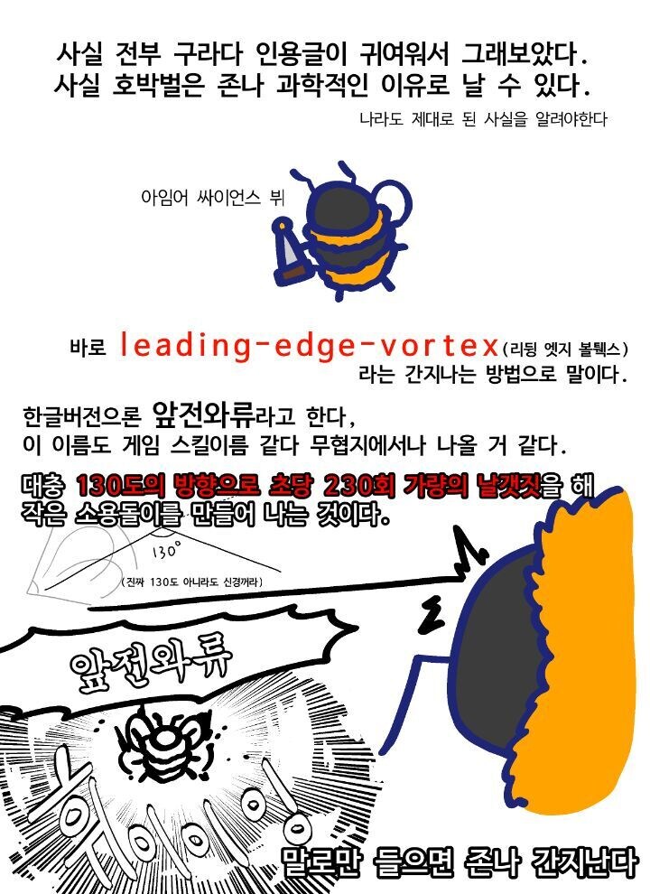 호박벌이 어떻게 나는지 과학자도 모른다_2.jpg