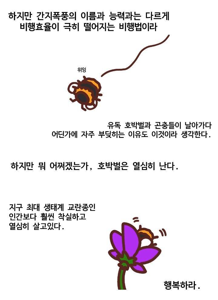 호박벌이 어떻게 나는지 과학자도 모른다_3.jpg