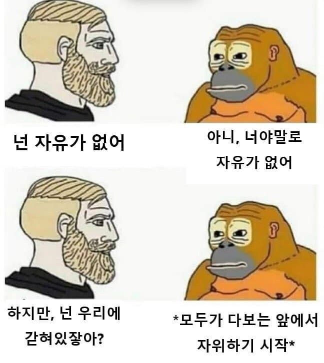 동물원의 자유_1.jpg