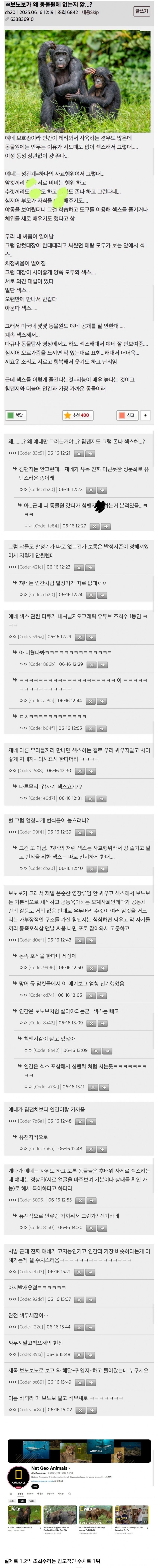 보노보가 왜 동물원에 없는 줄 앎?_1.jpg