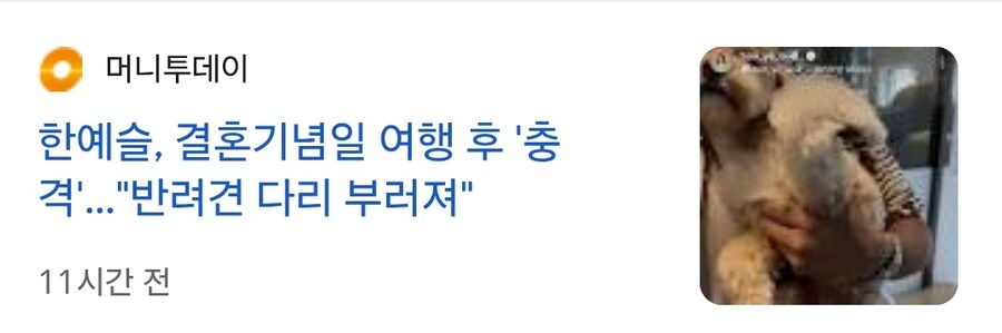 한예슬 강아지 충격적인 상태..jpg_1.jpg