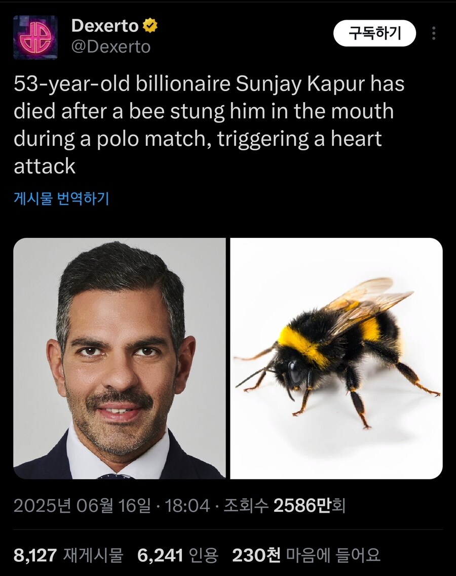 53세 억만장자가 벌에게 쏘여 사망_1.jpg