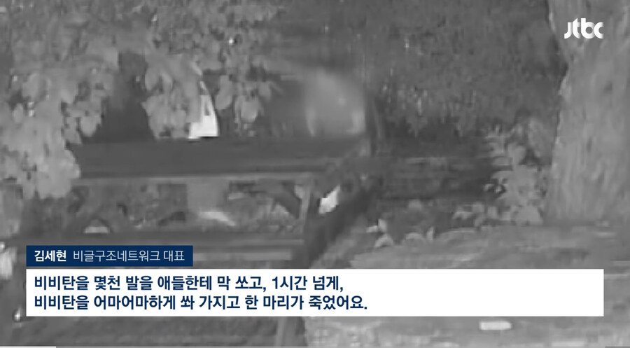 개에게 비비탄 수천발 쏴 죽인 군인_1.jpg