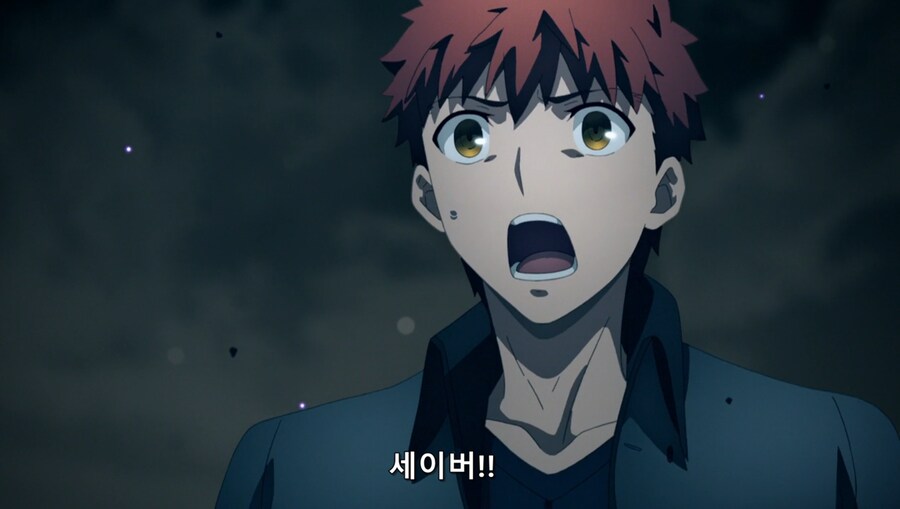 페이트)사쿠라: 씨/발 내가 히로인이라고_13.png