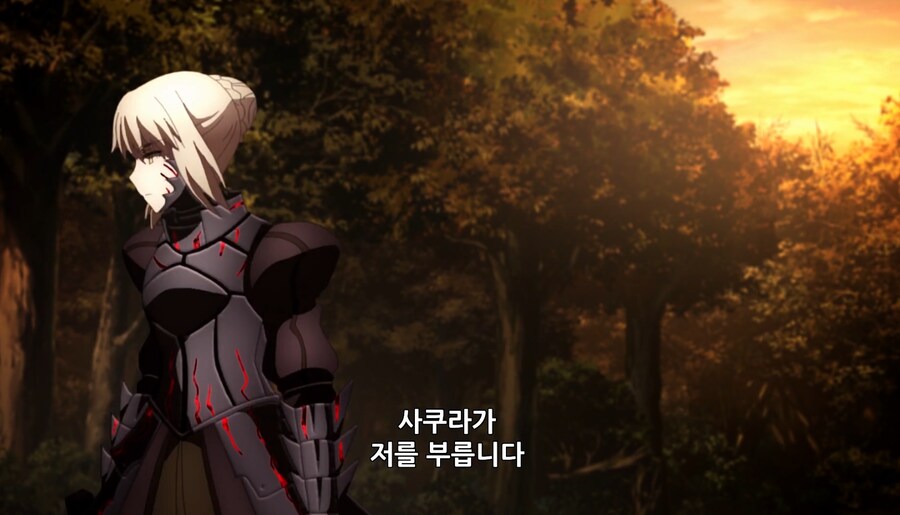 페이트)사쿠라: 씨/발 내가 히로인이라고_24.png