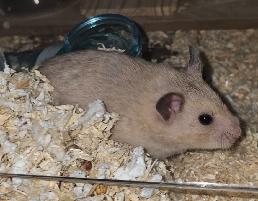 유게이 베스트 프랜드서비스 연장 추가비 결제 하고 왔다_1.png