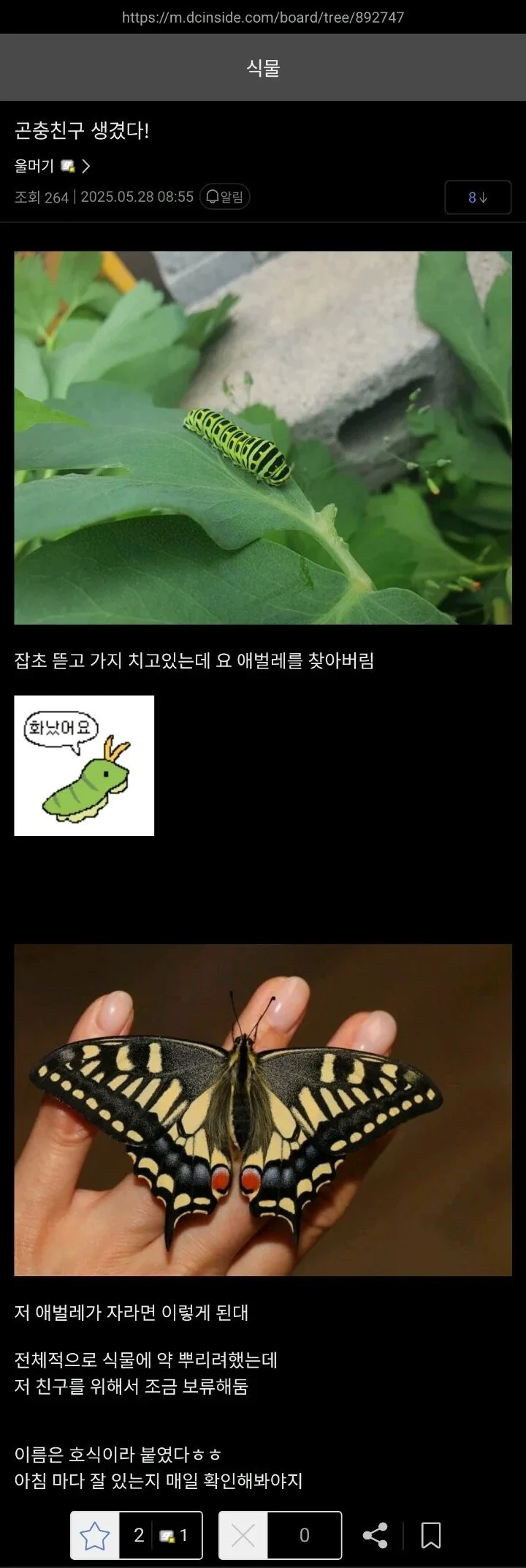 식물갤 근황.jpg_1.webp