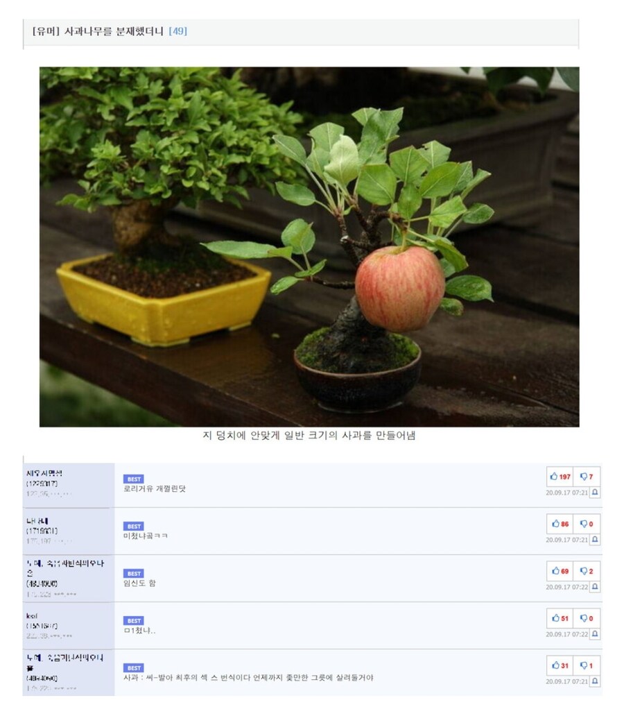 유게 뉴비일 때 억울했던거_1.jpg
