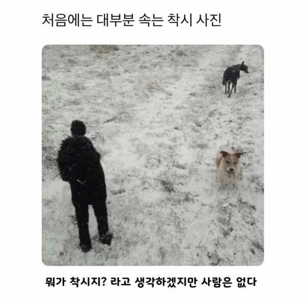 대부분이 속는 착시 사진_1.jpg