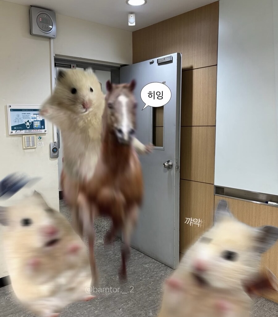 너 요즘 뒤에 말나오더라_2.jpg