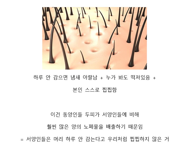 서양인과 동양인의 머리관리방법이 다른이유..!_5.png