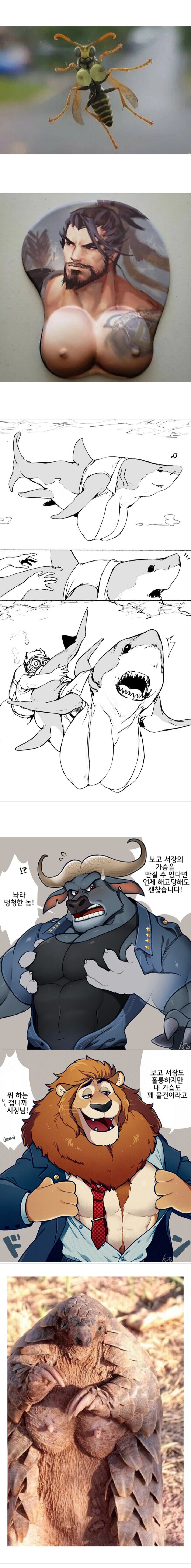 뭐 팬치들 pdf딴다고? 여기와라 증거자료 모아뒀다_1.jpg