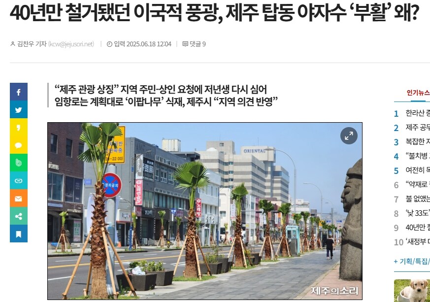 제주시 야자수 부활_2.jpg