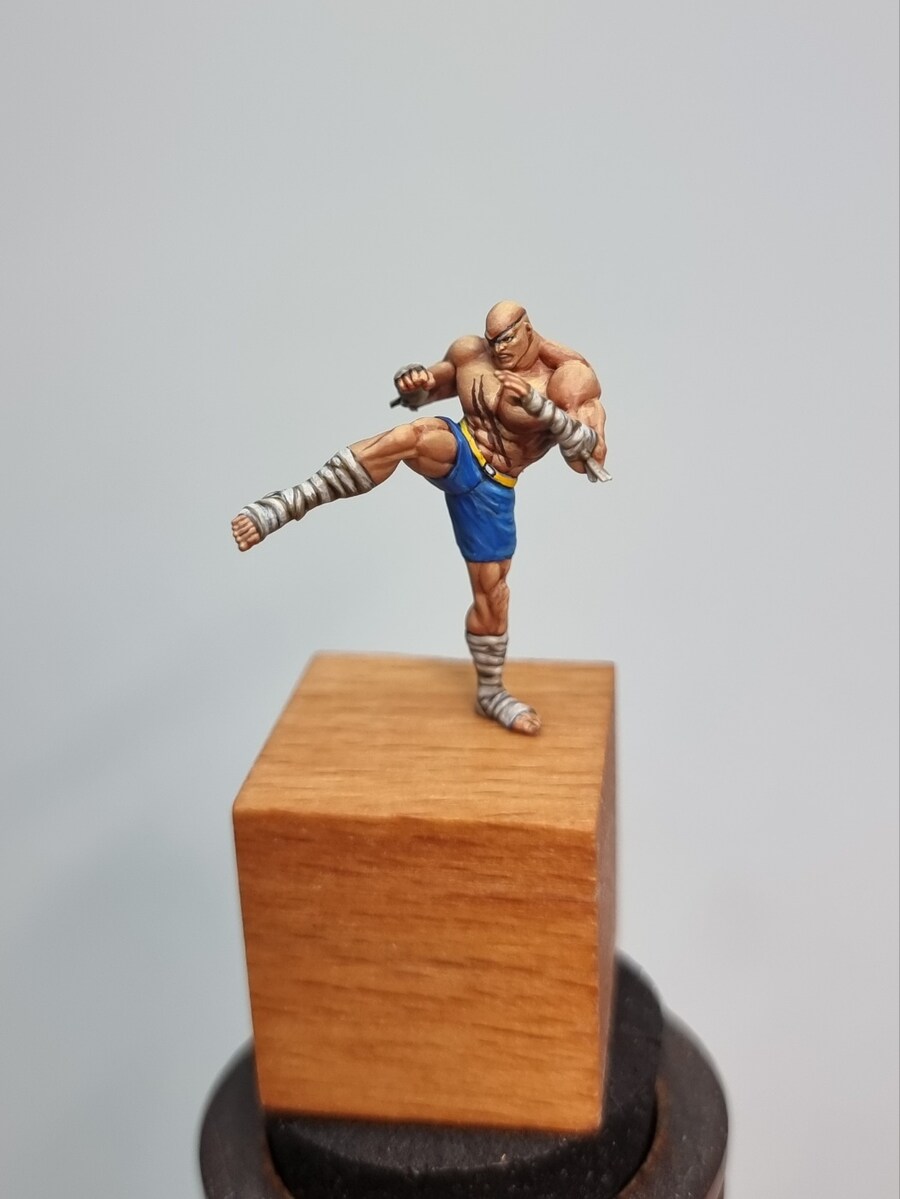 [도색완성] 스트리트 파이터_6.jpg