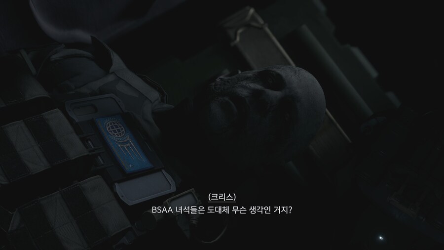 바이오하자드 빌리지_30.jpg