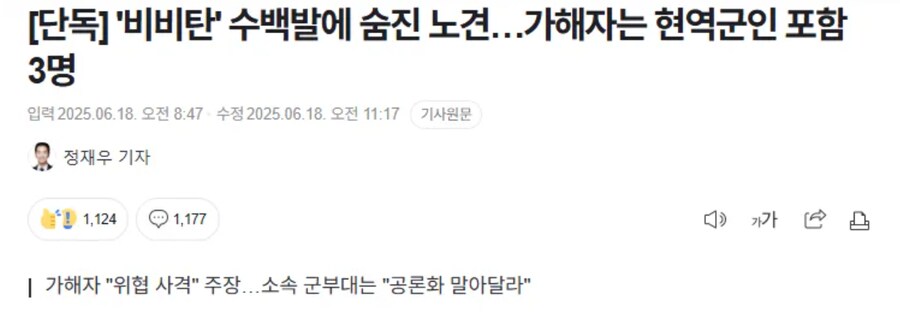 '비비탄' 수백발에 숨진 노견…가해자는 현역군인 포함 3명_1.png