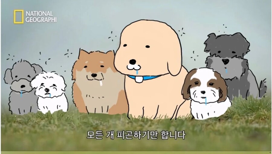 수요일에 올리면 아주 잘 어울리는 짤..._1.jpg