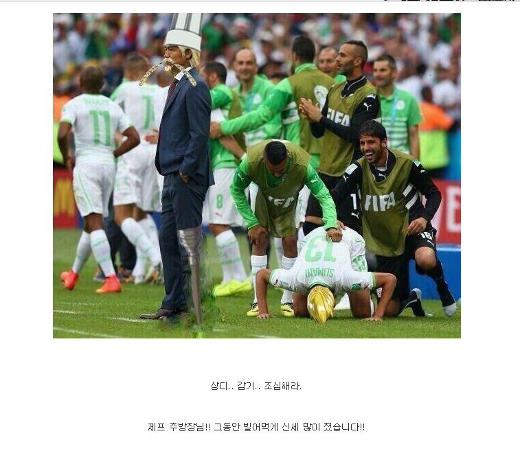 다시보는 원피스 리즈시절.jpg_1.jpg
