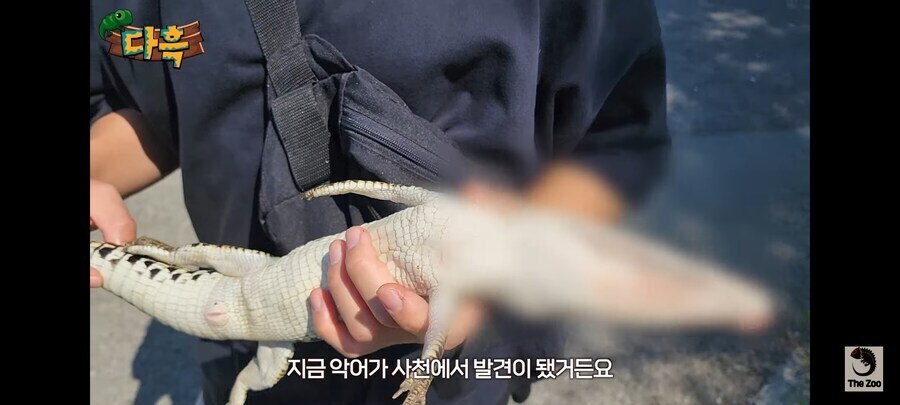 크킄 새볔9시 동물성기 달리기좋은시간_2.jpg