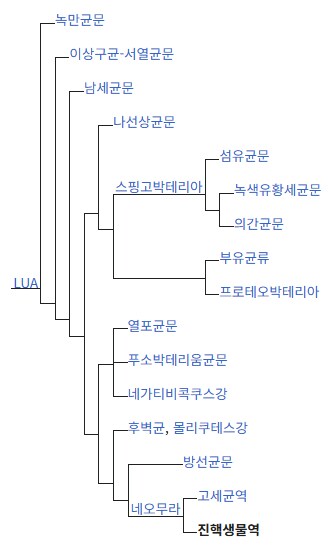 버섯이 식물보다 동물에 더 가깝다고 하는 이유_1.png