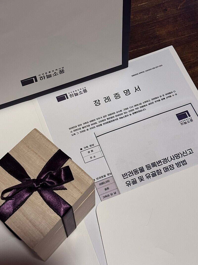 이번에 군인들이 쏜 비비탄 수백발에 다친 노견들 사진_4.jpg