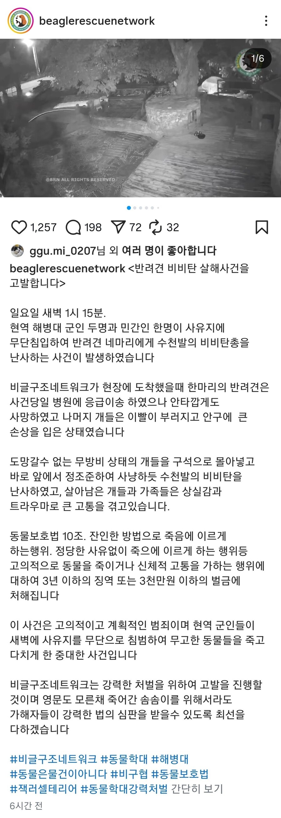 이번에 군인들이 쏜 비비탄 수백발에 다친 노견들 사진_7.jpg