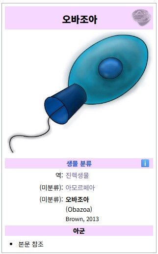 버섯이 식물보다 동물에 더 가깝다고 하는 이유_3.png