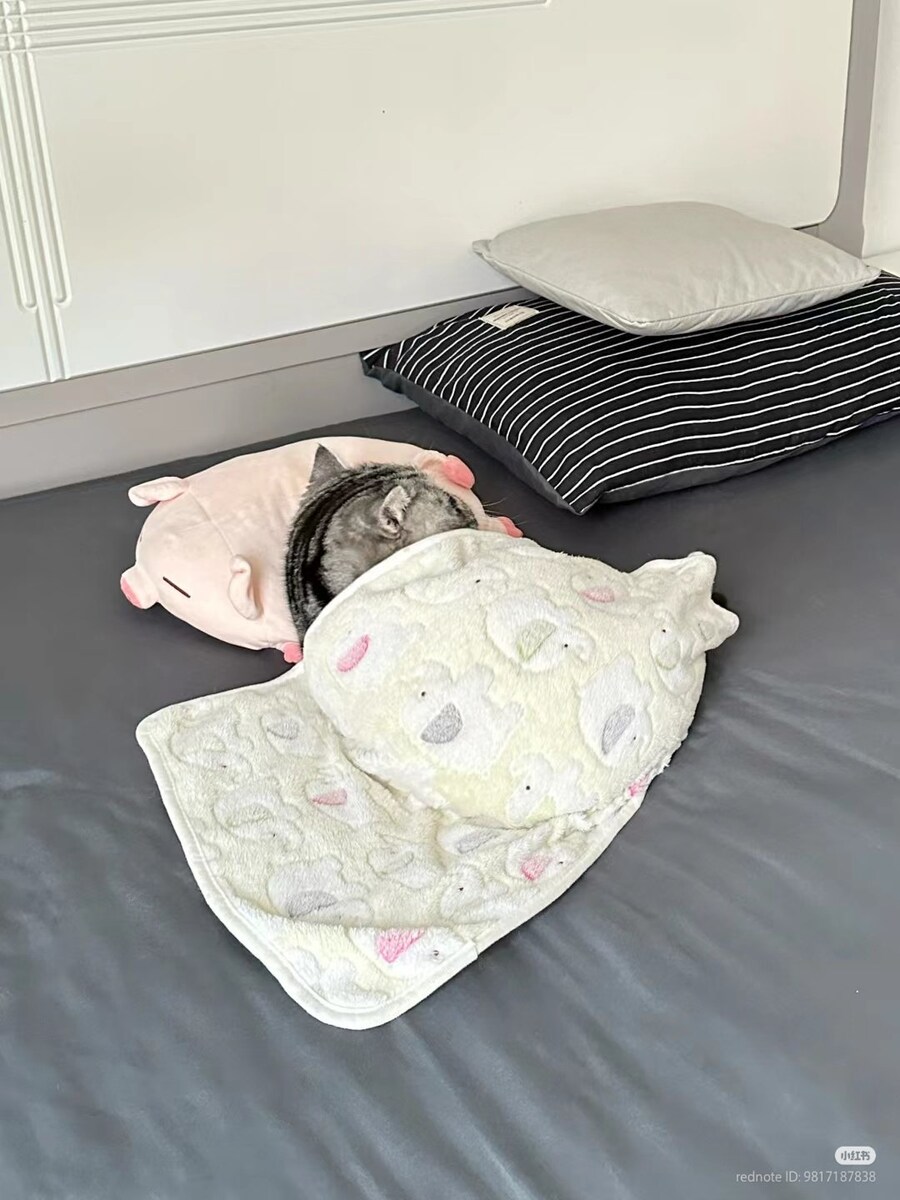 고양이: 응애, 아기 고양이 이불 좋아해👶_1.jpg