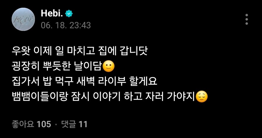 버튜버] 헤비야 그게 무슨 소리니...._1.jpg
