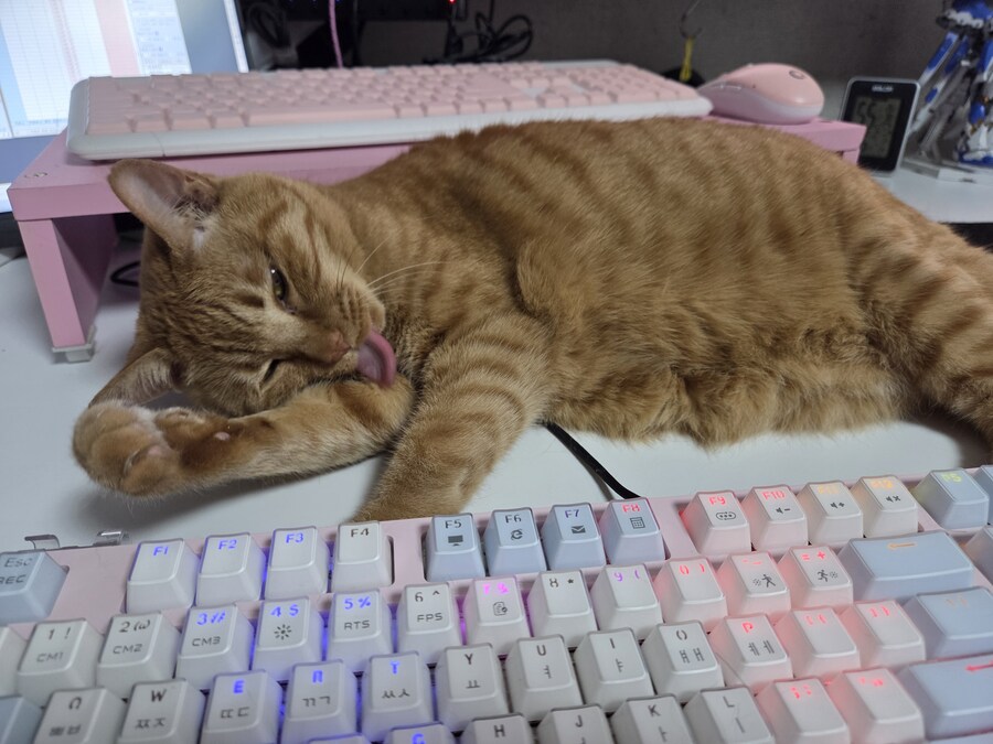 요망한것_2.jpg