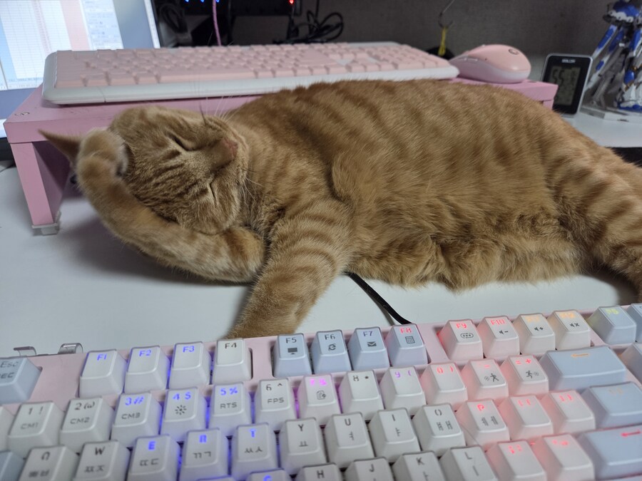 요망한것_3.jpg