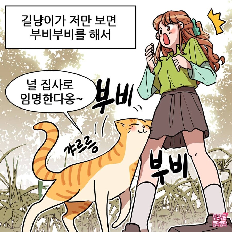여친이 길냥이주워와서 키우는만화_1.jpg