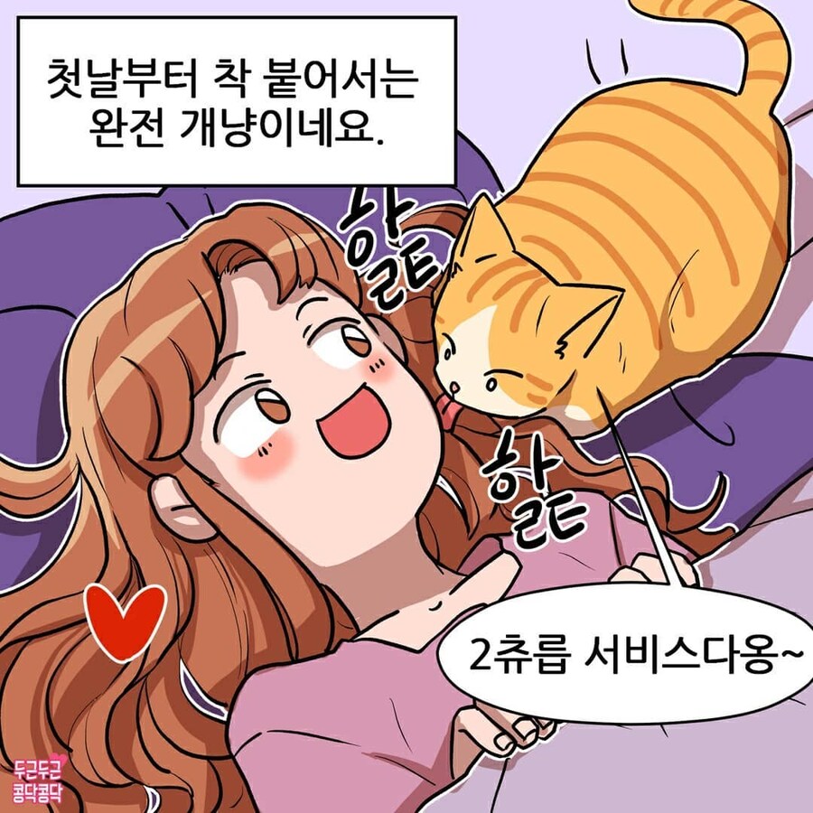 여친이 길냥이주워와서 키우는만화_3.jpg