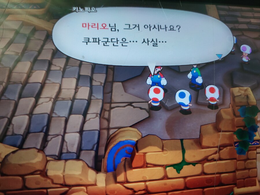 쿠파 군단의 비밀.jpg_1.jpg