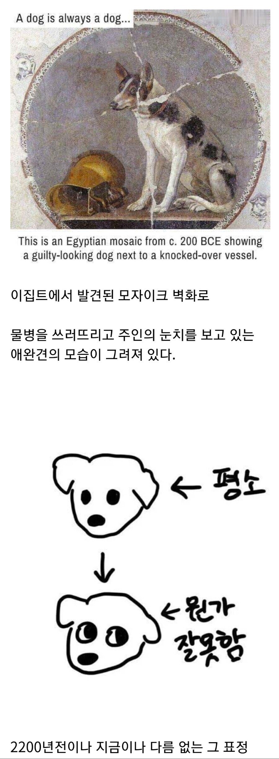 의외로 기원전부터 있었던 강아지 특징_1.jpg
